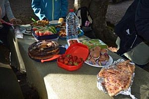 Jeder hat etwas mitgebracht für das gemeinsame Picknick