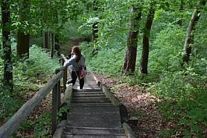 Die vielen Stufen der Himmelsleiter bis zur Burgruine