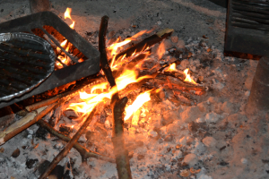 Am Abend versammelten sich dann alle am Lagerfeuer und lauschten der Musik