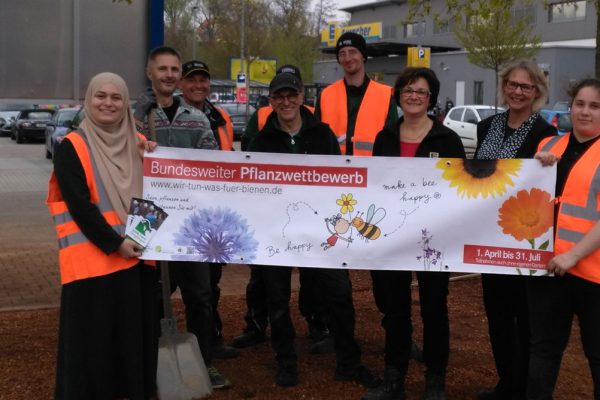 Die Grünflächen des EDEKA in Güglingen gemeinsam mit dem Bauhof und dem NABU zur Bienenweide verwandeln